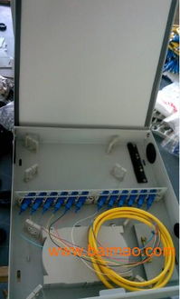 48芯樓道箱 冷軋板帶鎖防塵光纖配線箱的綜合指南